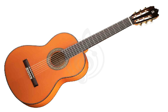 Классическая гитара 4/4 8.209 Flamenco Conservatory 4F Классическая гитара, Alhambra - фото 1