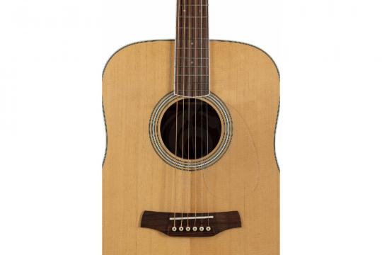 Акустическая гитара ADLER D100-SR - Гитара акустическая - фото 9