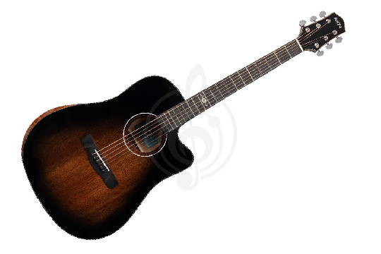 Акустическая гитара Aion F20 - Акустическая гитара - фото 1
