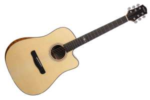 Изображение Aion Q20 - Акустическая гитара