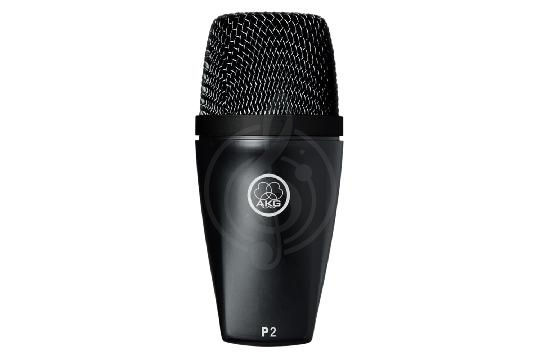 Изображение Инструментальный микрофон AKG P2