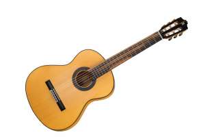 Изображение Alhambra 8.896 Green Sustain Flamenco - Классическая гитара