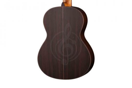 Классическая гитара 4/4 Alhambra 847 Classical Conservatory Senorita 5P - Классическая гитара 7/8 - фото 4