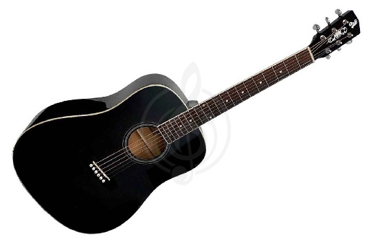 Акустическая гитара ALICANTE TITANIUM BK - гитара акустическая - фото 1