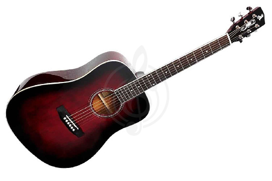 Акустическая гитара ALICANTE TITANIUM WR - гитара акустическая - фото 1