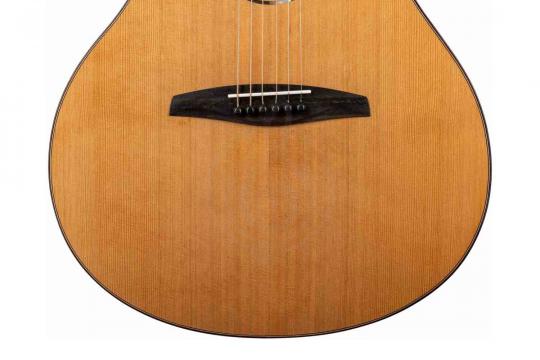 Электроакустическая гитара ALTAMIRA AC-15E - Гитара электроакустическая - фото 8