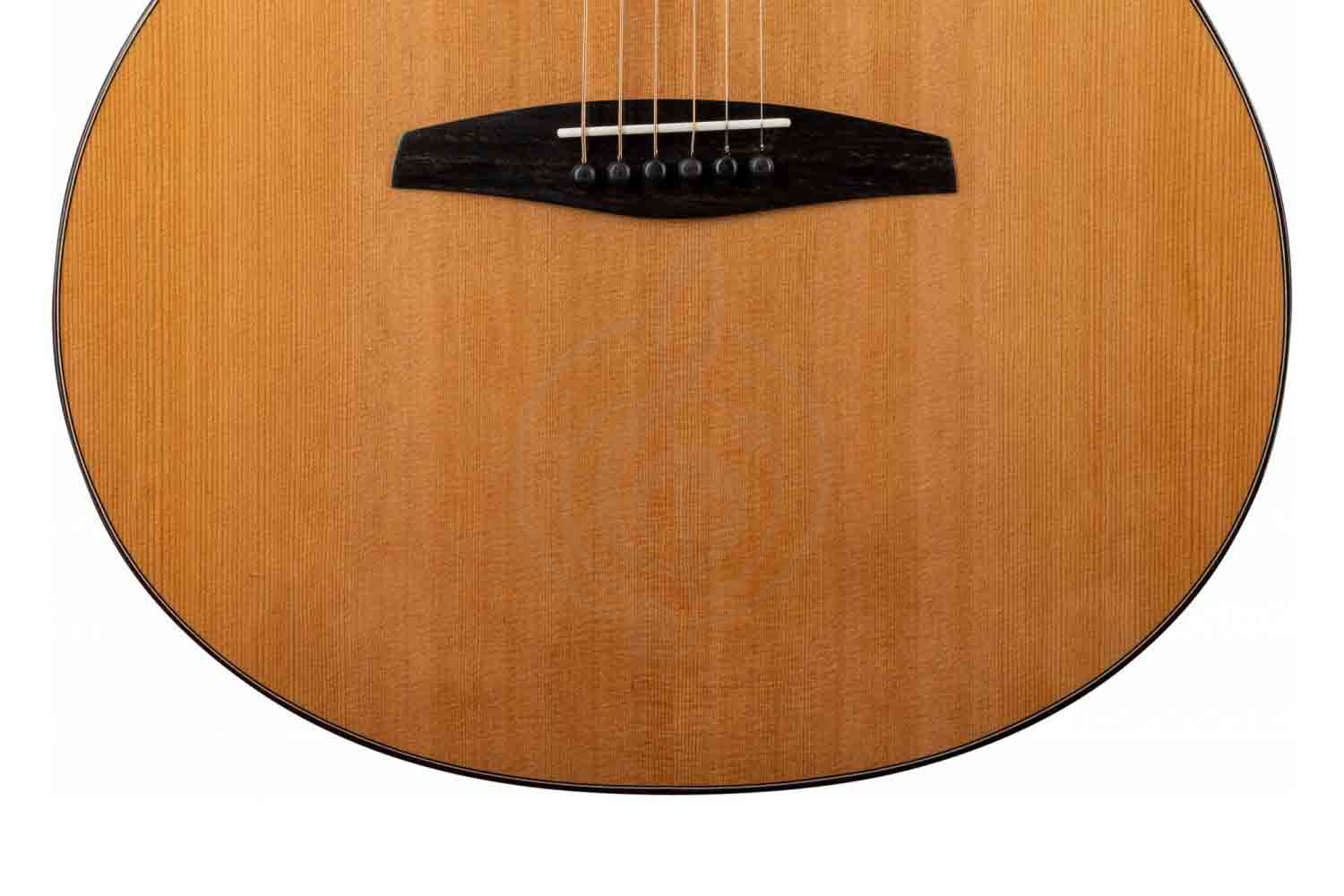 Акустическая гитара ALTAMIRA AGA-15 - Акустическая гитара - фото 14