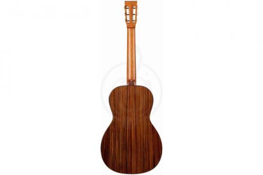 Акустическая гитара ALTAMIRA MP-1 - Акустическая гитара - фото 8
