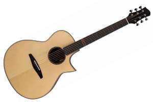 Изображение ALTAMIRA MPro-1