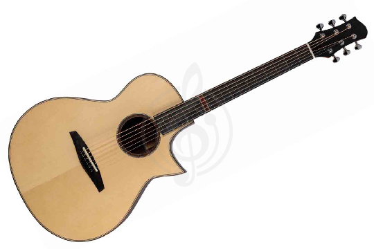 Акустическая гитара ALTAMIRA MPro-1 - Акустическая гитара - фото 1