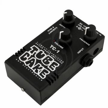 Комбоусилитель для электрогитары AMT Electronics TC-1 Tubecake 1.5W – усилитель мощности (power amp) - фото 2