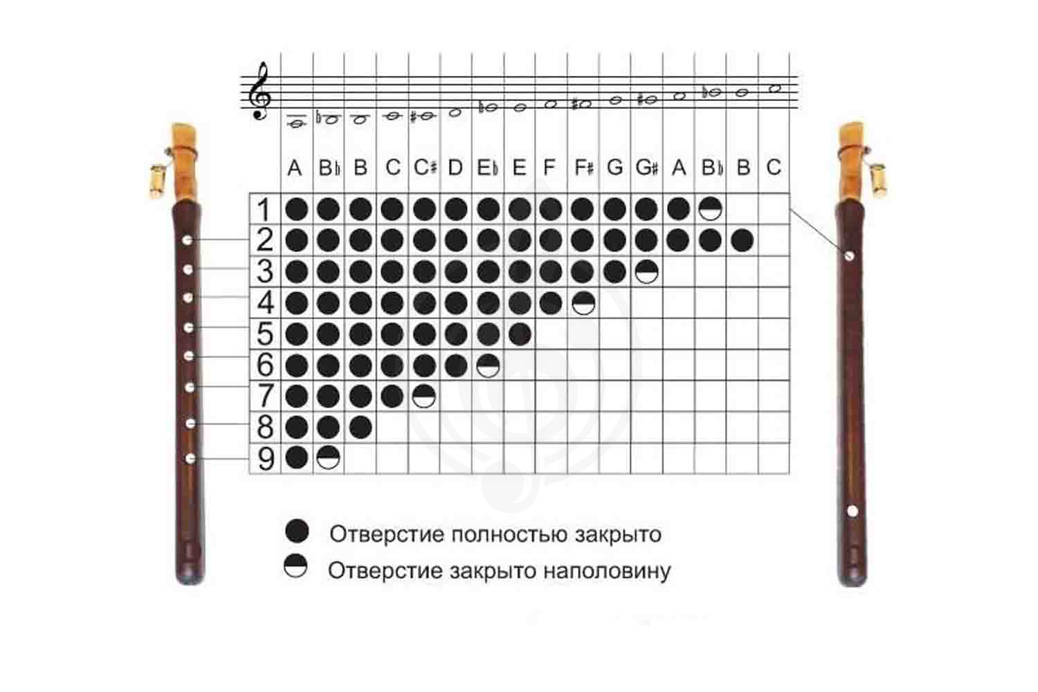 Дудук ARARAT D500PROA - Дудук - фото 2