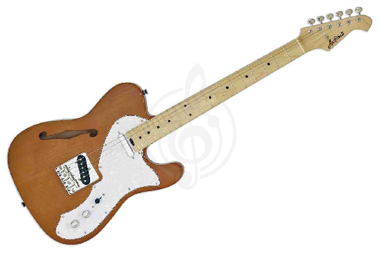ARIA PRO II TEG-TL N - Электрогитара - фото 1 Электрогитара Telecaster ARIA PRO II TEG-TL N - Электрогитара - фото 1