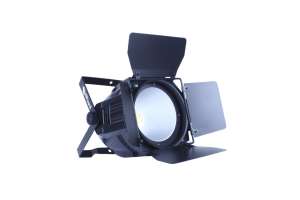 Изображение Прожектор (LED PAR) Art Wizard LED-200CW/WW (2in1) COB PA