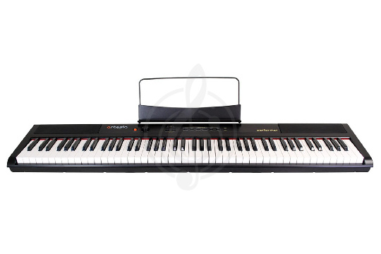 Artesia Performer Black Цифровое фортепиано - фото 1 Цифровое пианино Artesia Performer Black Цифровое фортепиано - фото 1