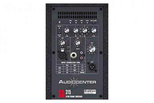 Активная акустическая система Audiocenter SA315 - Активная акустическая система - фото 4