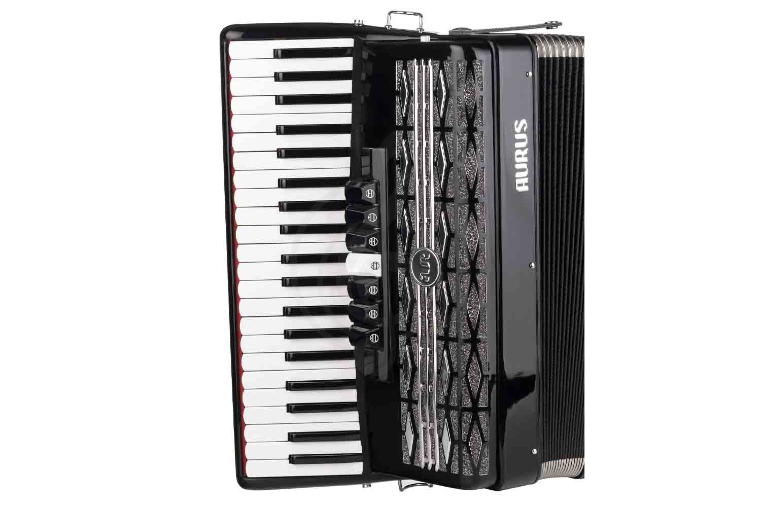 Аккордеон 4/4 Aurus JH2008-B - Аккордеон - фото 5