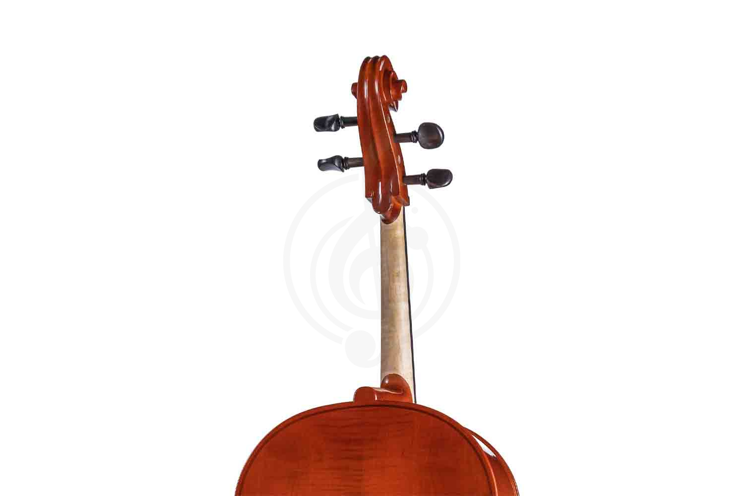 Виолончель 3/4 B-C034-L Beginer Genial 2 Nitro Laminated - Виолончель 3/4 Gliga - фото 2