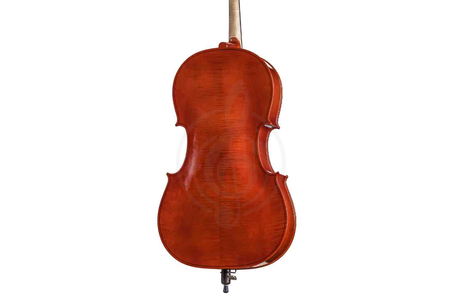 Виолончель 3/4 B-C034-L Beginer Genial 2 Nitro Laminated - Виолончель 3/4 Gliga - фото 3