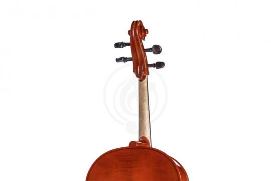 Виолончель 3/4 B-C034-L Beginer Genial 2 Nitro Laminated - Виолончель 3/4 Gliga - фото 2