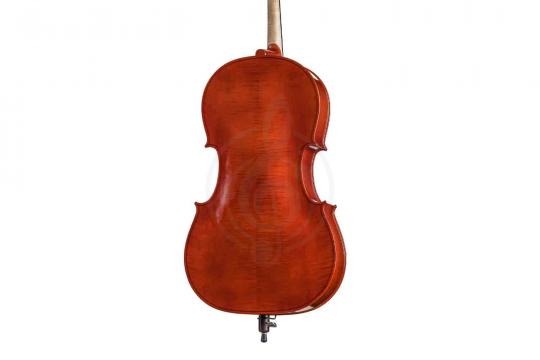 Виолончель 3/4 B-C034-L Beginer Genial 2 Nitro Laminated - Виолончель 3/4 Gliga - фото 3