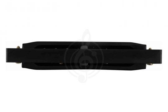 Диатоническая губная гармошка BEE DF10A-1 BLACK - Диатоническая губная гармошка - фото 4