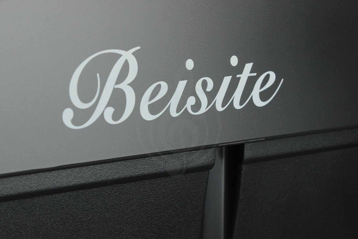 Цифровое пианино BEISITE S-198BK PRO LITE - Цифровое пианино - фото 4