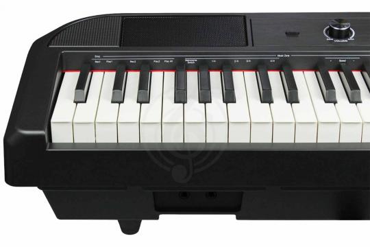Цифровое пианино BEISITE S-198BK PRO LITE - Цифровое пианино - фото 2