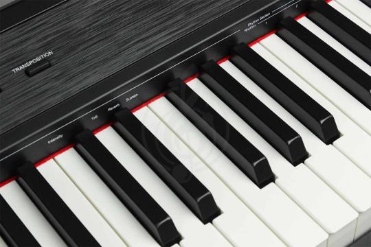 Цифровое пианино BEISITE S-198BK PRO LITE - Цифровое пианино - фото 3
