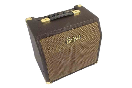 Комбоусилитель для акустической гитары Belcat Acoustic-15C - Комбоусилитель для акустической гитары, 15Вт - фото 1