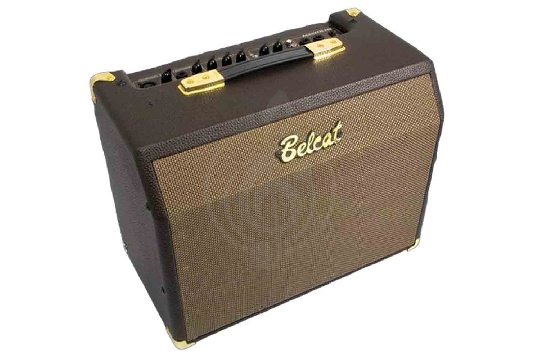 Belcat Acoustic-25RC - Комбоусилитель для акустической гитары, 25Вт - фото 1 Комбоусилитель для акустической гитары Belcat Acoustic-25RC - Комбоусилитель для акустической гитары, 25Вт - фото 1