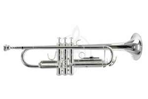 Изображение Труба BOSTON СTR-245S