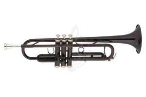 Изображение BOSTON TR-104/BK - Труба Bb