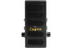 Изображение CALINE CP-31P