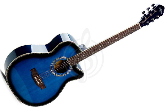 CARAVAN MUSIC HS-4020 BLS - Гитара акустическая - фото 1 Акустическая гитара CARAVAN MUSIC HS-4020 BLS - Гитара акустическая - фото 1