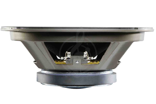 Динамик Celestion T5381AXD G10 Vintage - Динамик 10", 16 Ом, 60 Вт - фото 1