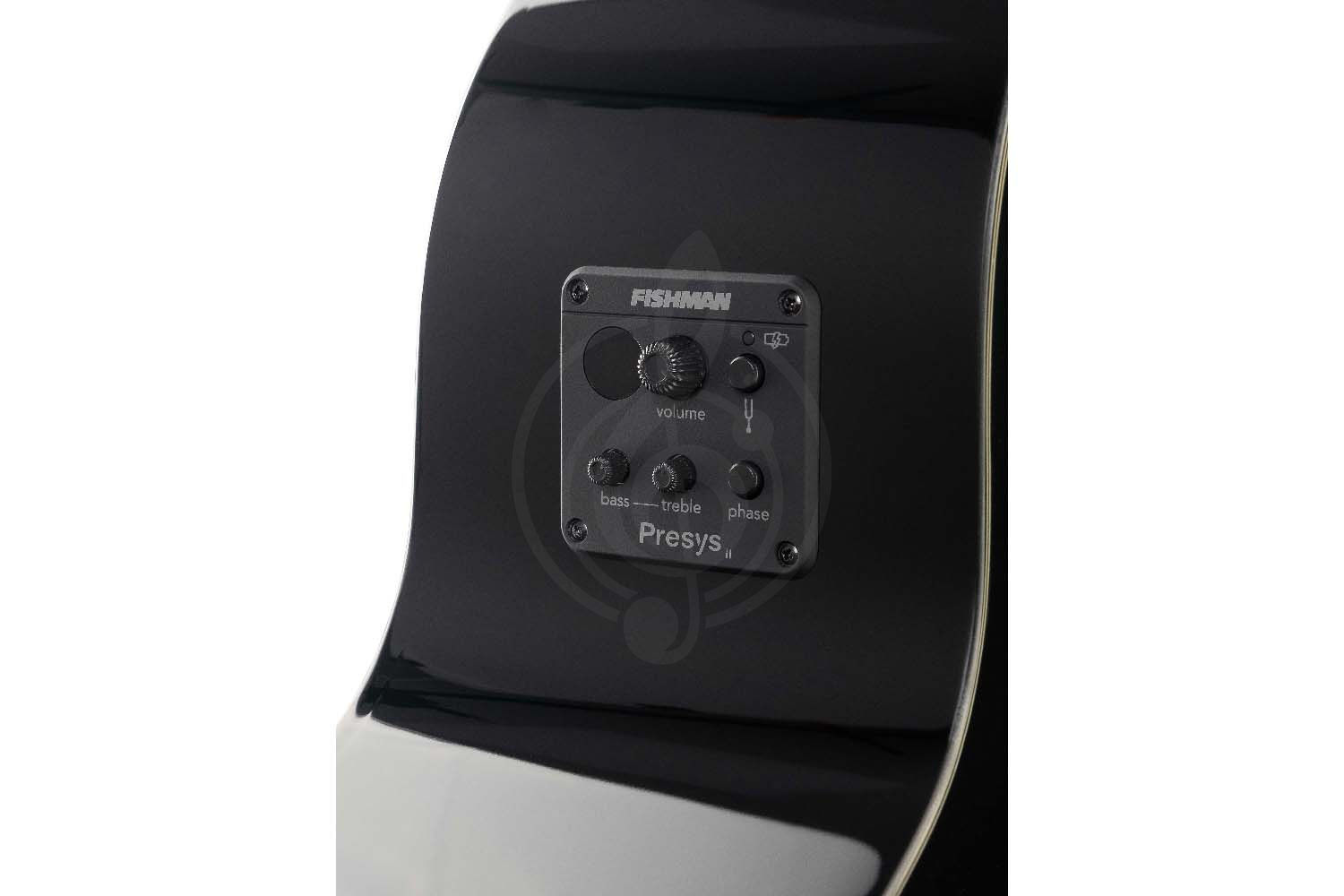 Бас-гитара Cort AB850F-BK-BAG Acoustic Bass Series - Электроакустическая бас-гитара - фото 3