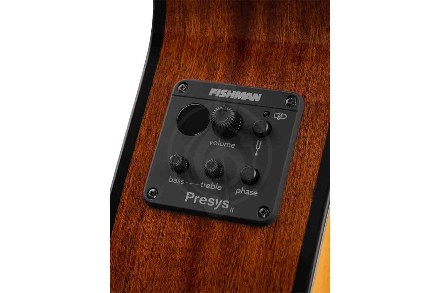 Классическая гитара 4/4 Cort CEC5-NAT Classic Series - Классическая гитара, со звукоснимателем - фото 2
