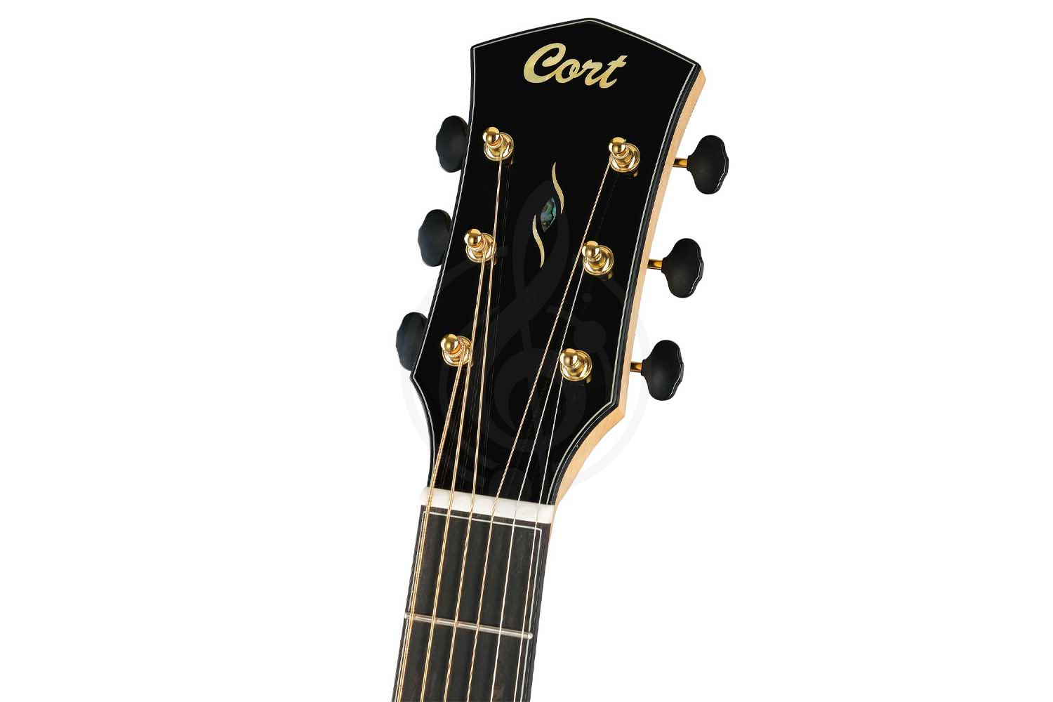 Электроакустическая гитара Cort Gold-Passion-WCASE-NAT Gold Series - Электроакустическая гитара - фото 12