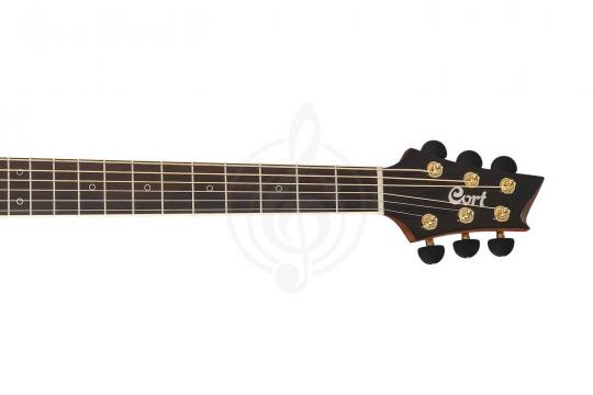 Cort NDX-50-NAT NDX Series - Электроакустическая гитара - фото 3 Электроакустическая гитара Cort NDX-50-NAT NDX Series - Электроакустическая гитара - фото 3