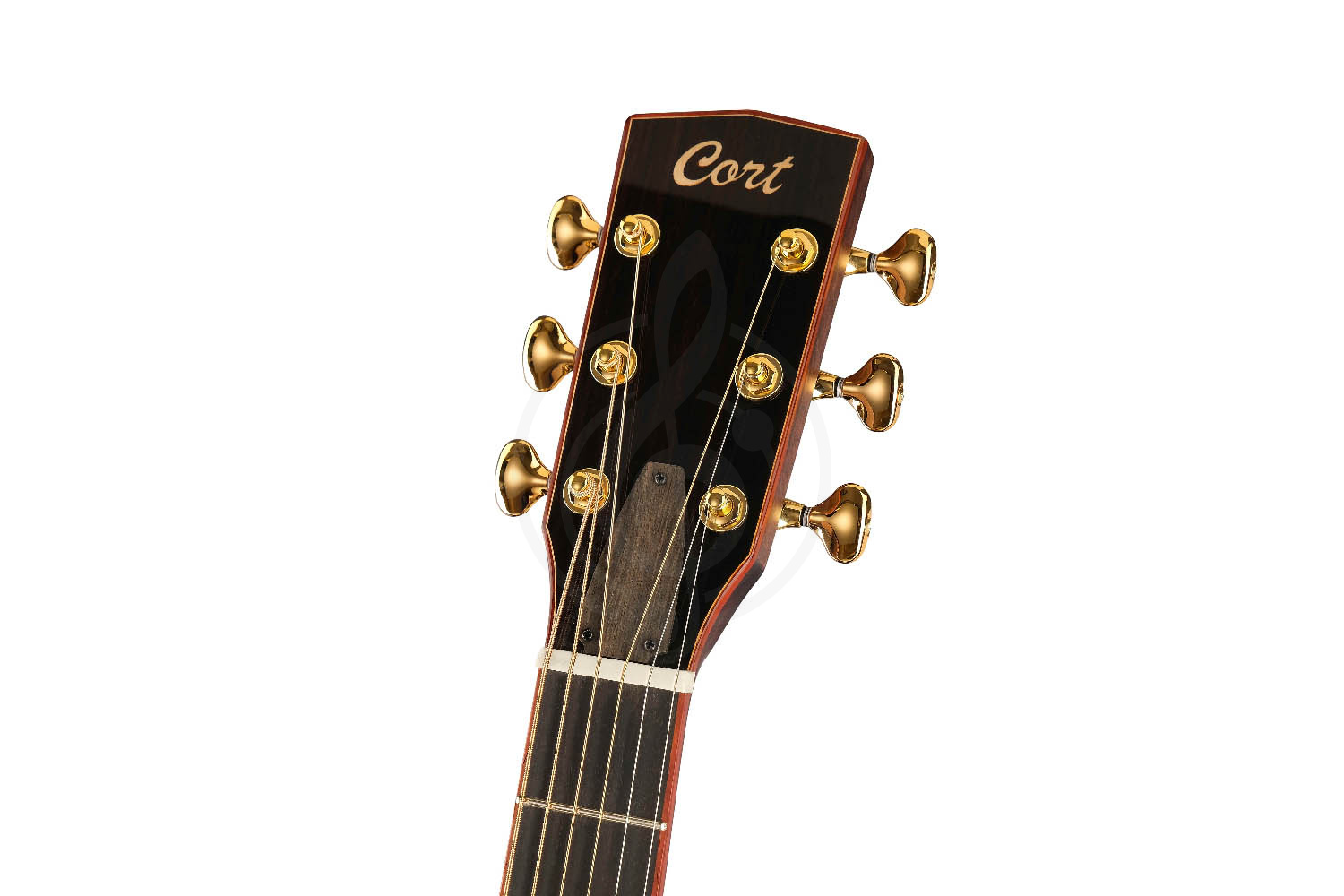 Электроакустическая гитара Cort Roselyn-Redux-WCASE-NAT Masterpiece Series - Электроакустическая гитара - фото 15