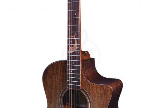 Электроакустическая гитара CRAFTER MIND W PREMIUM Te - Гитара электроакустическая - фото 3