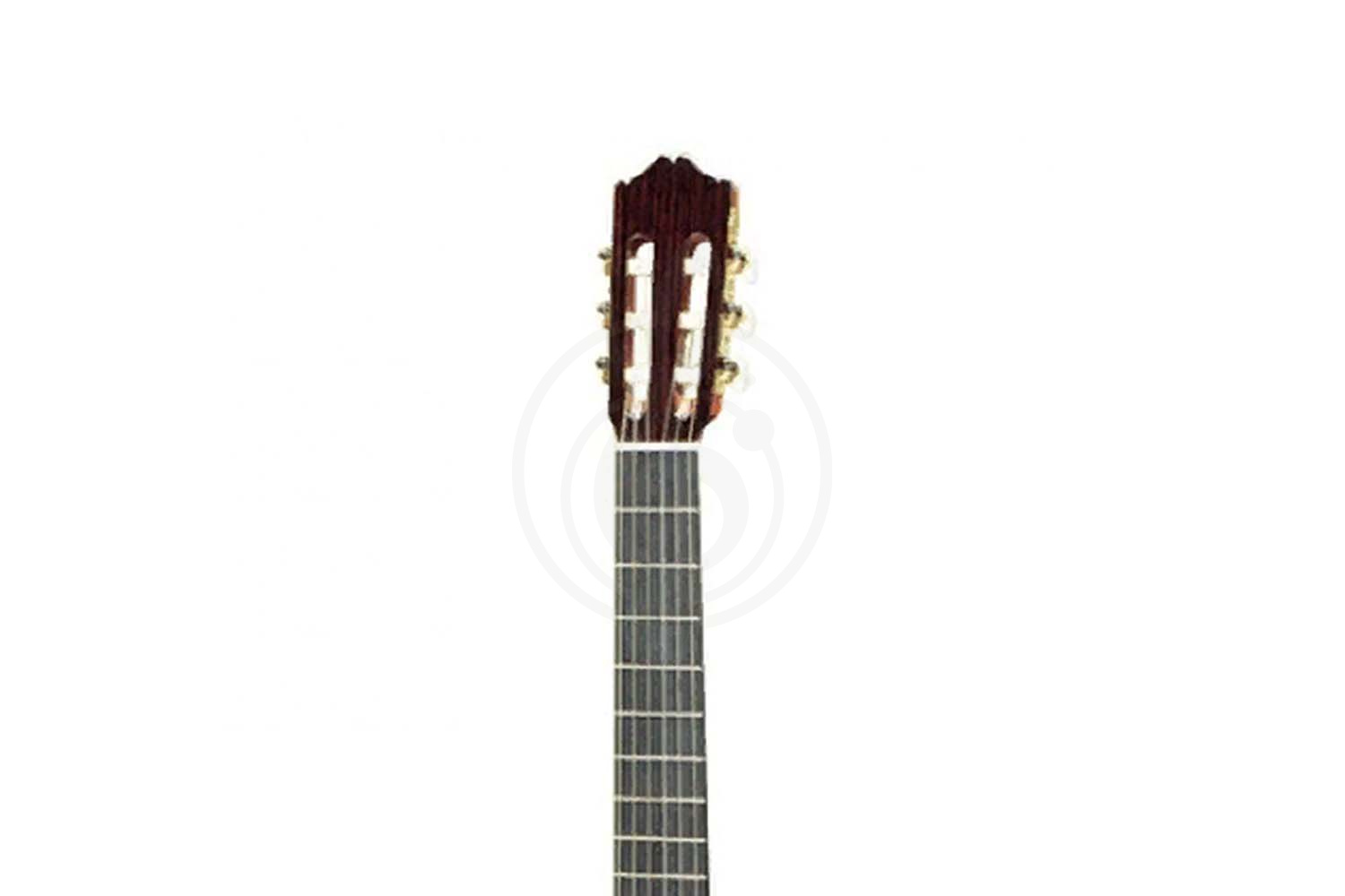 Классическая гитара 1/2 CUENCA R-10 REQUINTO 1/2 Гитара классическая - фото 3