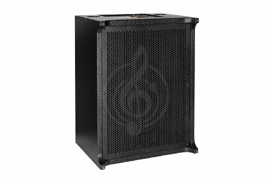 Активный сабвуфер DSPPA DSP1500S - Сабвуфер, активный, 300 Вт - фото 1
