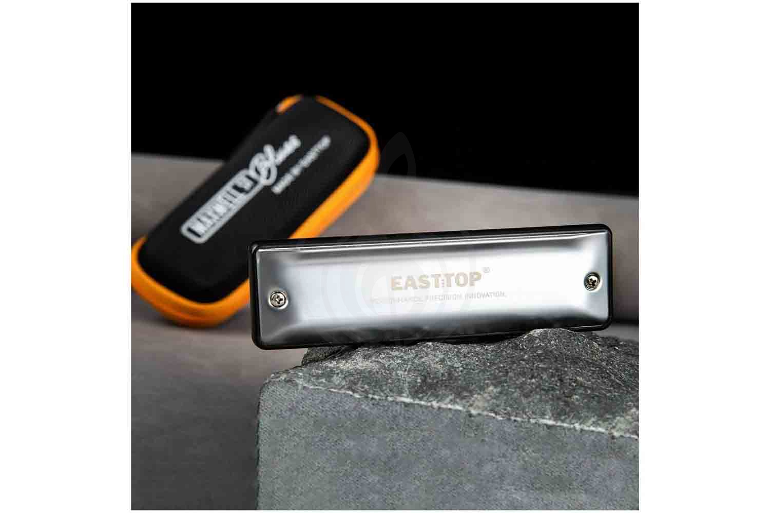 Диатоническая губная гармошка EASTTOP MS030 C (Maxwell ST) - Диатоническая губная гармошка - фото 6