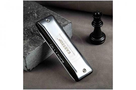 Диатоническая губная гармошка EASTTOP MS030 G (Maxwell ST) - Диатоническая губная гармошка - фото 4