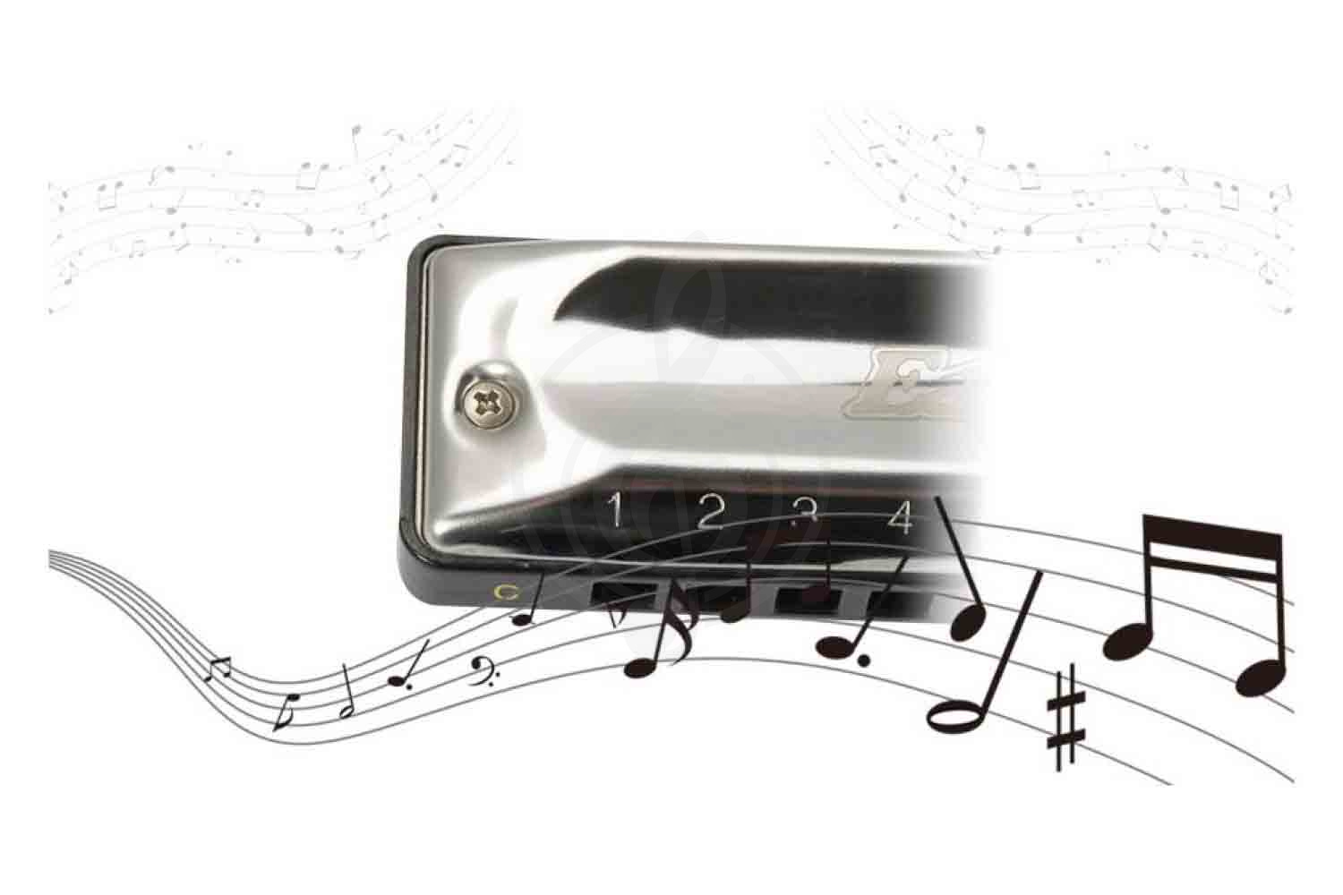 Диатоническая губная гармошка EASTTOP T002 G - Диатоническая губная гармошка - фото 3