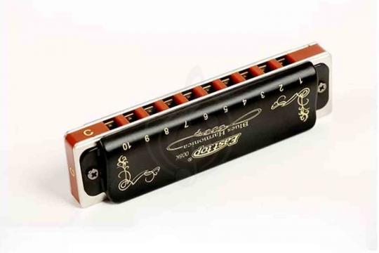 Диатоническая губная гармошка EASTTOP T008K Paddy A - Диатоническая губная гармошка - фото 4