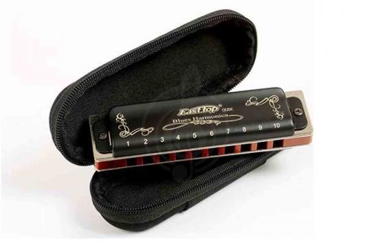 Диатоническая губная гармошка EASTTOP T008K Paddy A - Диатоническая губная гармошка - фото 7