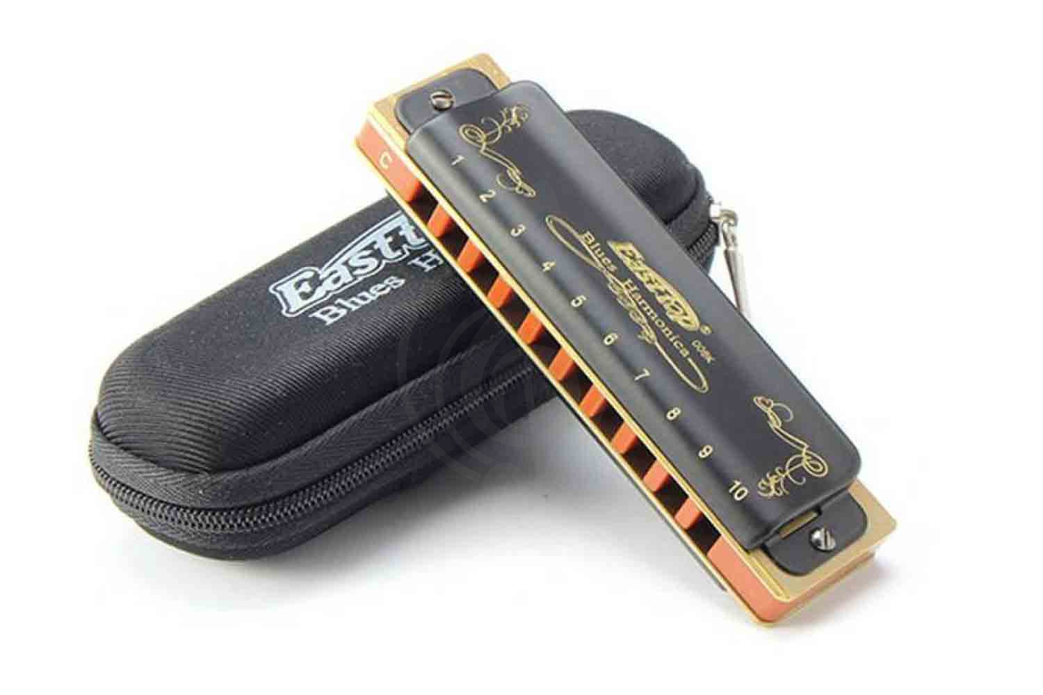 Диатоническая губная гармошка EASTTOP T008K Paddy G - Диатоническая губная гармошка - фото 7